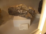 [CIMG0118.JPG]
