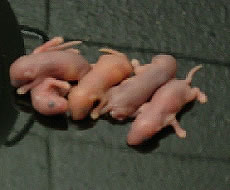 ��`�q�g�����}�E�X