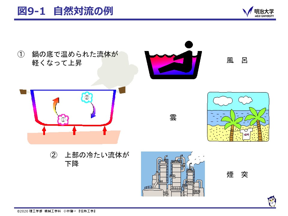 効果 マランゴニ