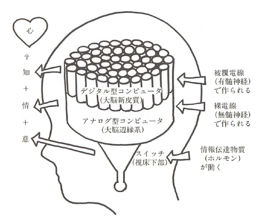 step04 脳と心の化学 脳内物質について