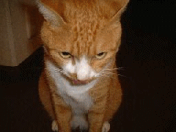 ����: myu-a1