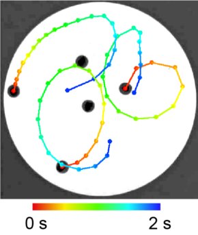 集団運動3