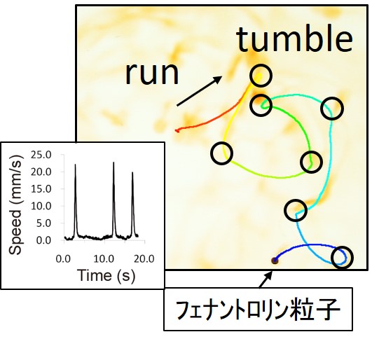 自己駆動粒子3