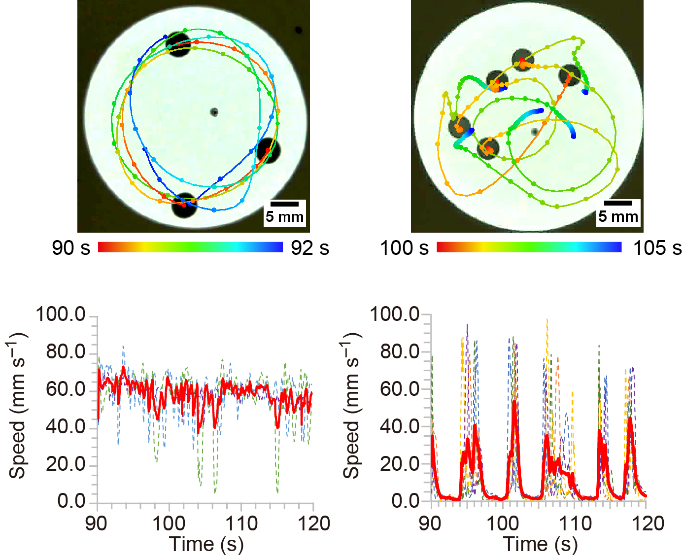 intermittent oscillatory motion