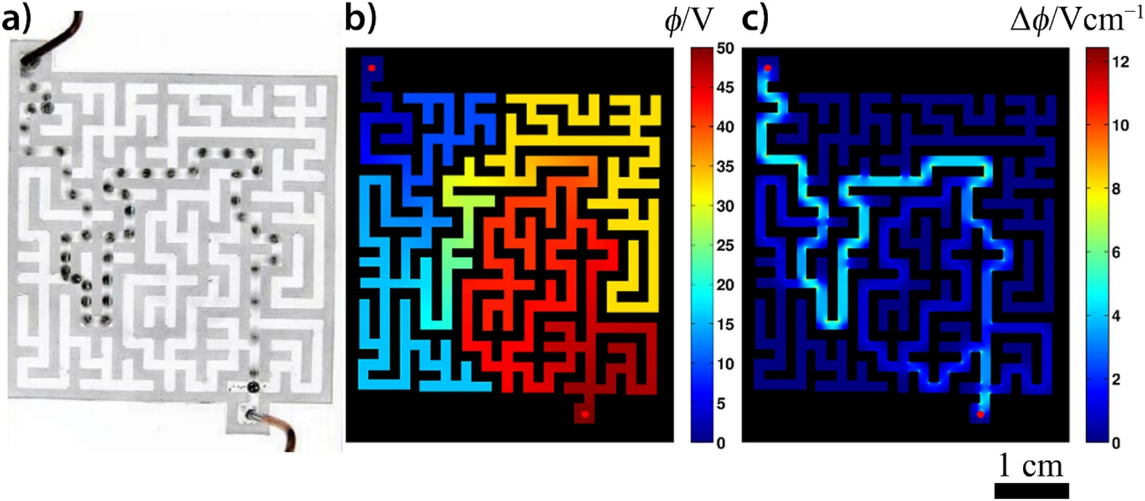  self-propelled motion