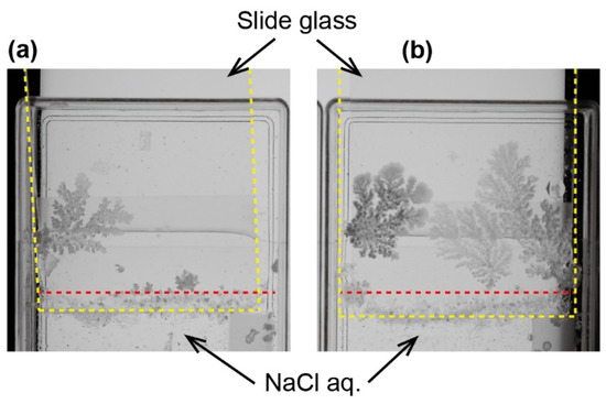 Materials NaCl dendrite