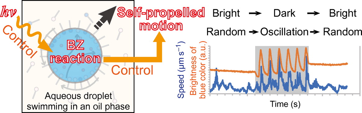 光BZ自己駆動液滴の論文