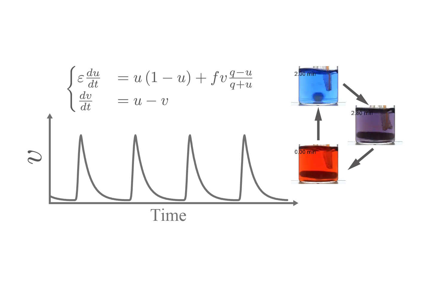 Rythmic reaction