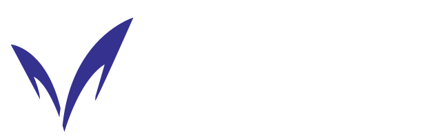 MEIJI UNIVERSITY