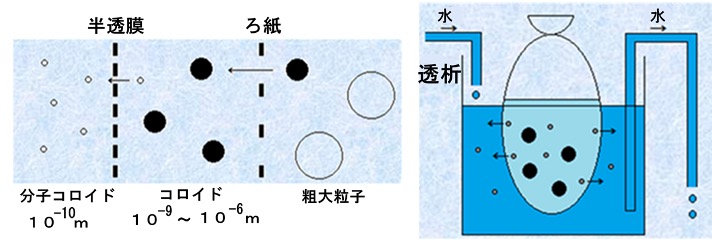 “界面化学とコロイド化学の歴史"