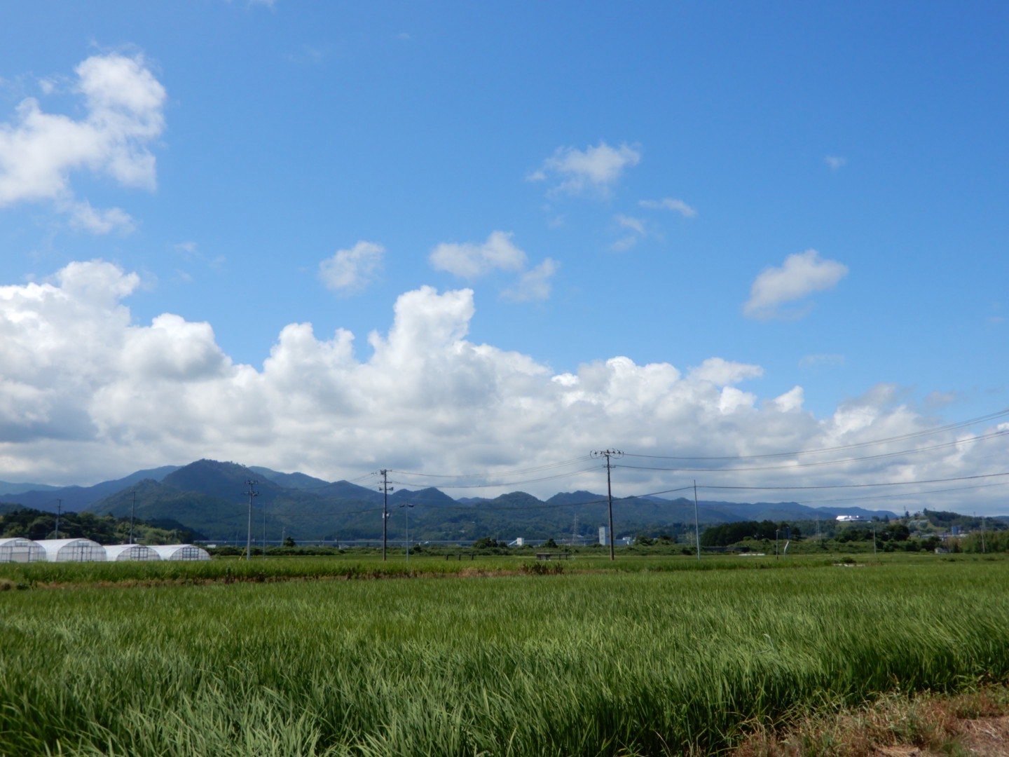地方の田園風景