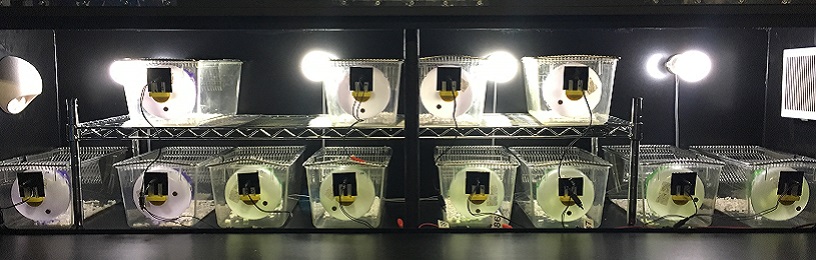 Laboratory animal facility