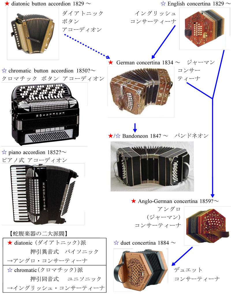 コンサーティーナ,concertina,バンドネオン,bandoneon