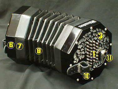 English concertina,bastari,stagi