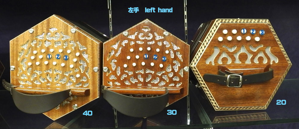 concertina,taniguchi,kato toru