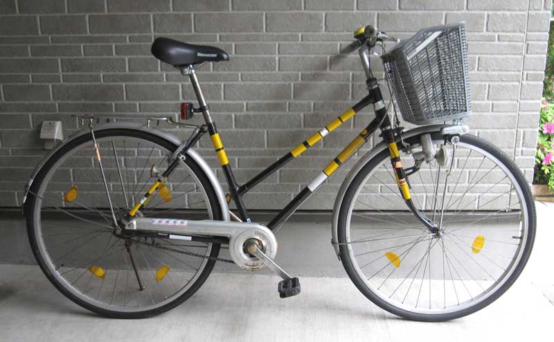 私の自転車 My Bikes