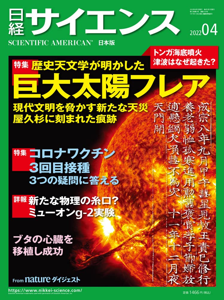 〈下〉展開編　山下竜二　陽明学・陸象山・朱子・王陽明 ※貴重【2冊セット】陽明学の研究　〈上〉成立編